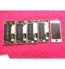 Nắp Lưng iPhone 5C Kèm (Pin, Loa, Mic, Camera) Chính Hãng